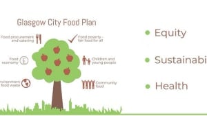City Food Plan consultation launched